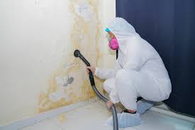 Best Residential Mold Inspection & Testing  in Lla Lla, WA